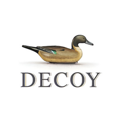 Decoy