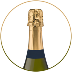 Sparkling Wine Cava Brut