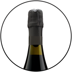 Sparkling Wine Lambrusco