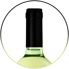 White Wine Pinot Grigio