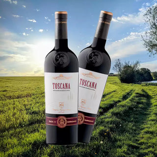 Duca Di Saragnano Toscana Rosso IGT 750ml