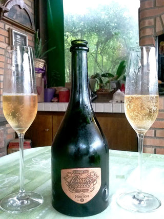 Norton Cosecha Especial Brut Vintage 750ml