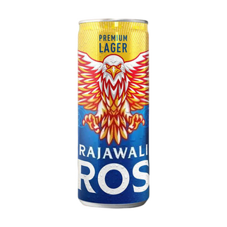 Prost Lager can - 500ml