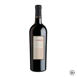 Santi Valpolicella Le Caleselle 750ml